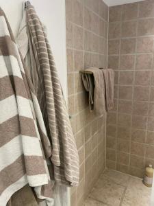 Townhouse appartment with two cuddly cats in the center of Elsingore close to beach and Hamlets castle