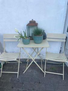 Townhouse appartment with two cuddly cats in the center of Elsingore close to beach and Hamlets castle