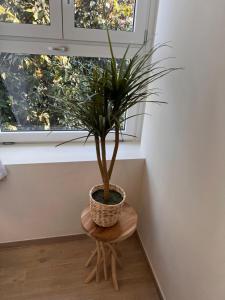Linate House 5