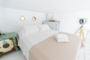 Charming Traditional Cycladic Studio in Zefyria