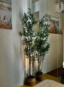 Entire House with Parking, Full Kitchen and Near SRP, Seaside and Nustar