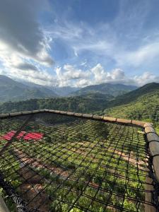 Berakah Glamping VIP