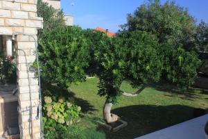 Apartment Tkon 336b