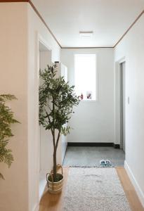 Stay 2929 Large 3 Bedroom for 8 near Hongdae Itaewon DMC