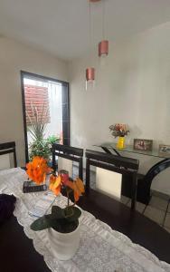 Casa temporada- São João