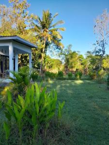 Sollo-Sollo Coco Farm Stay