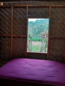 Sollo-Sollo Coco Farm Stay