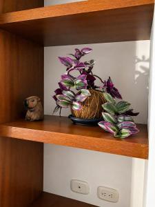 Hermosa Habitación doble privada
