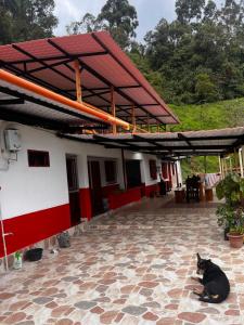 La TOLVA Café & experiencia