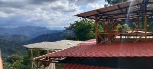 La TOLVA Café & experiencia