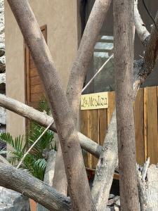 La Mestiza - Tiny House