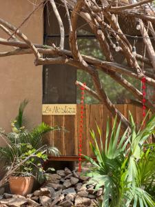 La Mestiza - Tiny House