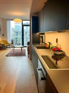 Penthouse With Two Balconies Near Vesterbro
