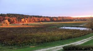 Les Secrets Chateau Pey La Tour - Groupe LOGIS HOTELS : photos des chambres