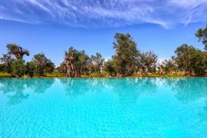 Villa With Pool Among Olive Trees In Puglia