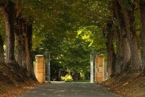 Les Secrets Chateau Pey La Tour - Groupe LOGIS HOTELS : photos des chambres