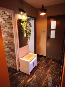 Oldie but Goldie Apartament