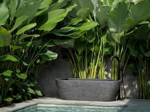 Damarya Boutique Villas Ubud