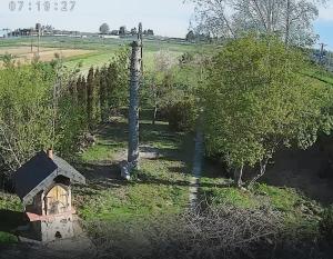 Agroturystyka na winnicy