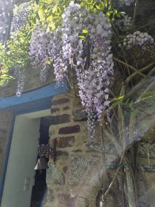 Gîte La Longère de Brocéliande