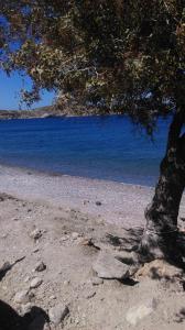 Boutique Hotel Tilos Mare Tílos Greece