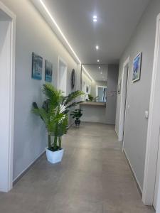 Luxury Rooftop Vlora