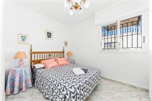 The lemon tree house