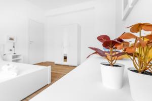 Milan Brioschi Apartment