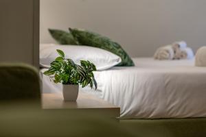 BE-Co Business Triple Suite