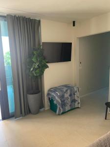 Aparthotel Zefiro com design, large terrace, bike, near beach and thermal