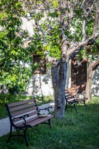 Franciscan Rooms, Dubrovnik Old Town