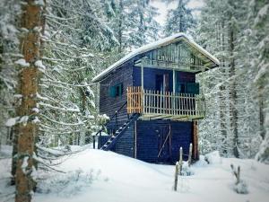 VLES chata uprostřed lesa