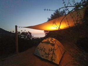 Kidrak Camping NAMASTE