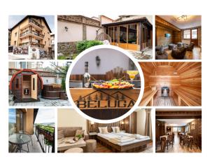 Beluga Guest House