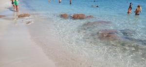 Casa Valledoria - sea and beach nearby