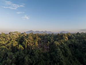Bumi Kabins Ubud