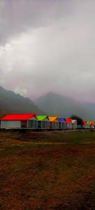 Colors Camp