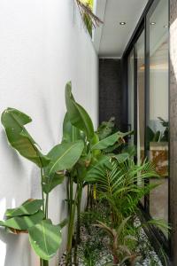 Villa Omaya - Uluwatu by Yolla Hospitality
