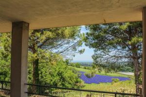 La Casa di Pippo