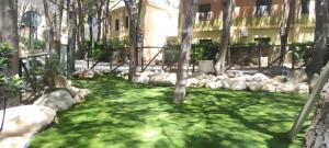 Villa Pinus Village img19