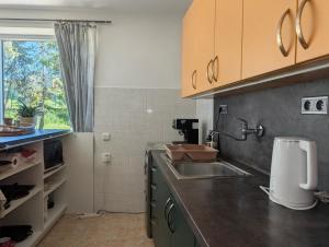 Apartmán Úlehla
