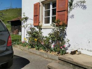 Maison mitoyenne avec terrasse