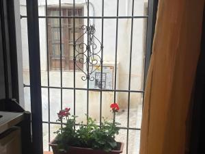 Mirador Ojo de Granada pleno Albaicín y Centro