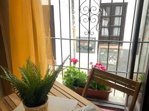 Mirador Ojo de Granada pleno Albaicín y Centro