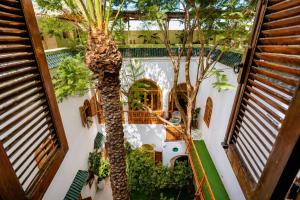 Riad O LY