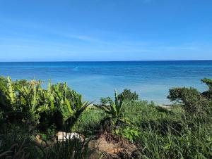 Oceanview Studio Apt w Pool Bar & Beach Access