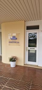 Phenicia 16N