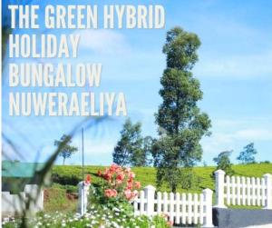 The Green Hybrid Holiday Bungalow