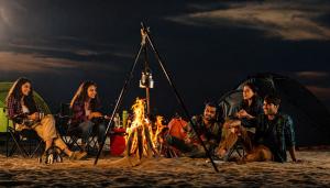 Desert cactus camp Jaisalmer