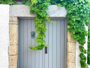 Vasiliki guesthouse